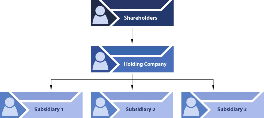 Holding Company