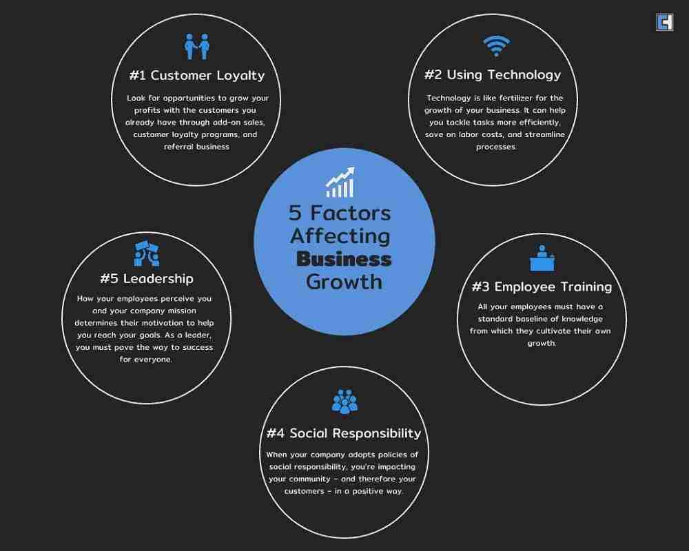 5 Factors Affecting Business Growth
