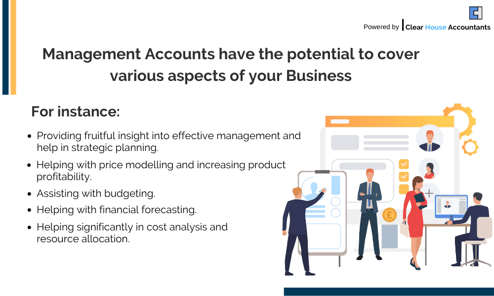 Accountants