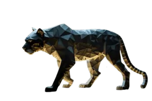 Business Advisory Services